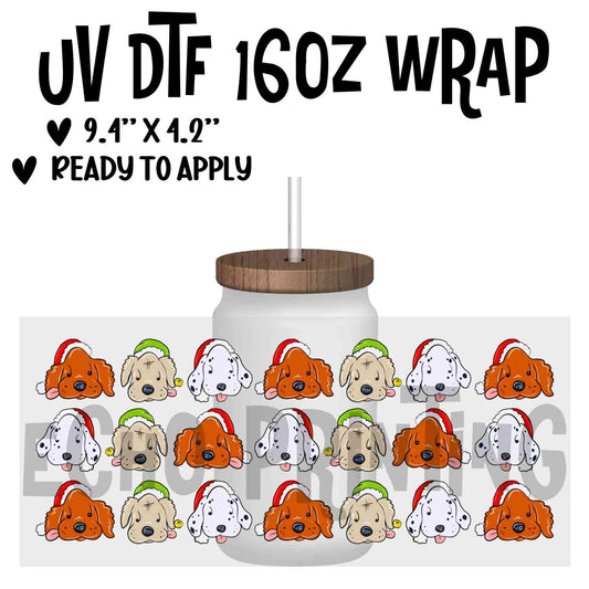 WWNXM 566